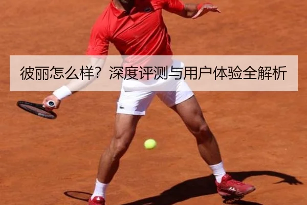 彼丽怎么样？深度评测与用户体验全解析