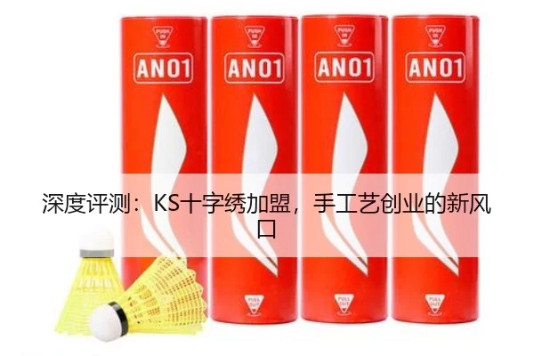 深度评测：KS十字绣加盟，手工艺创业的新风口